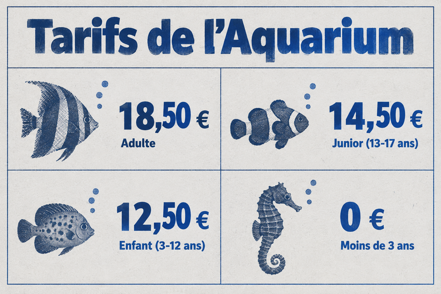 Un graphique en risographie compare les prix d'entrée de l'Aquarium de La Rochelle pour adulte, junior, enfant et moins de 3 ans.